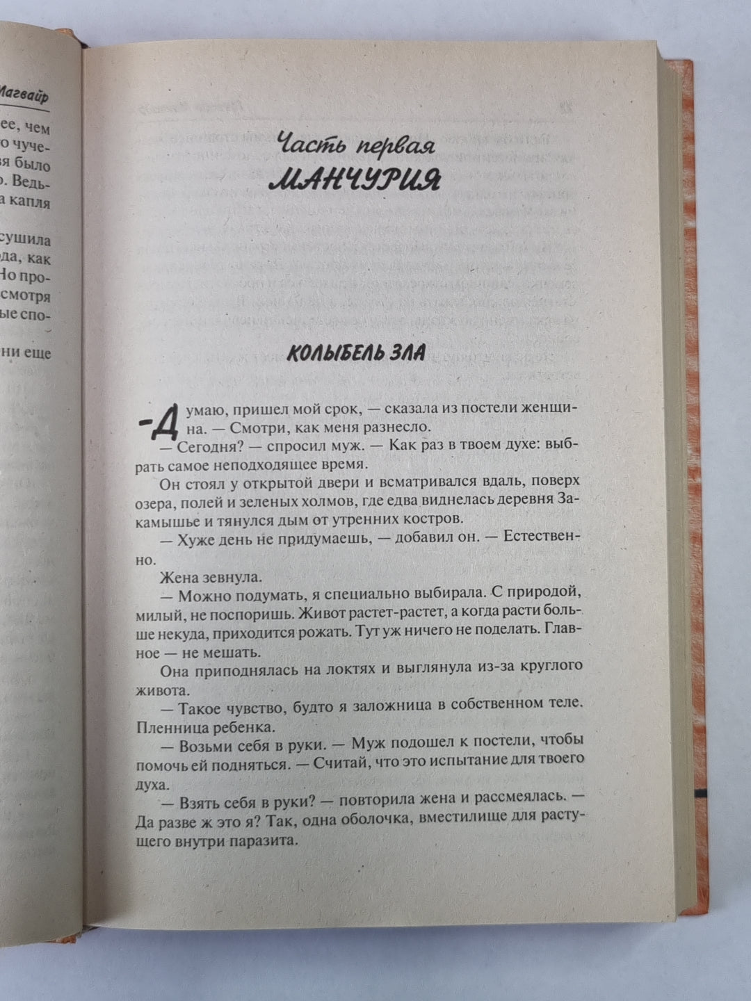 Ведьма: Жизнь и времена колдуньи страны из Оз