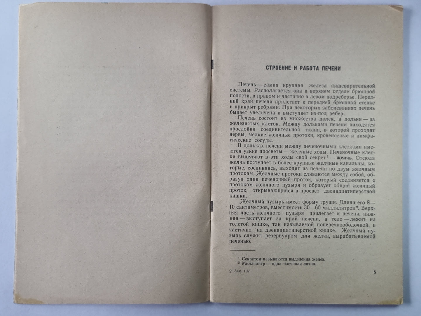 Лечебное питание при болезнях печени и желчных