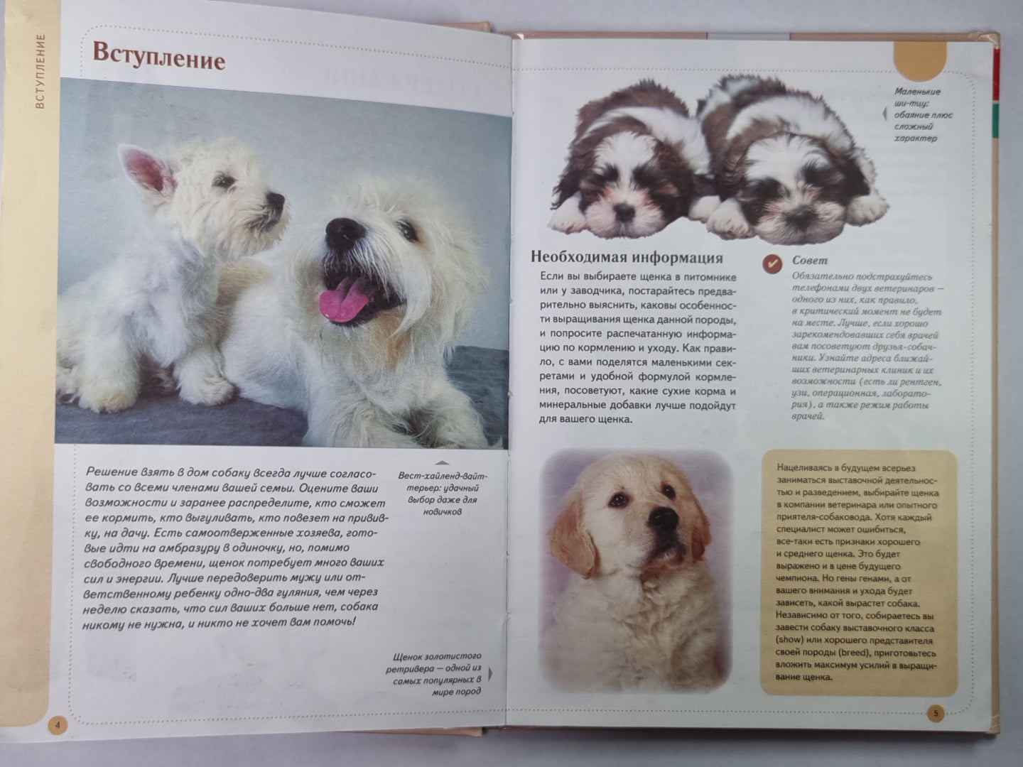Щенок: видимое пособие по уходу