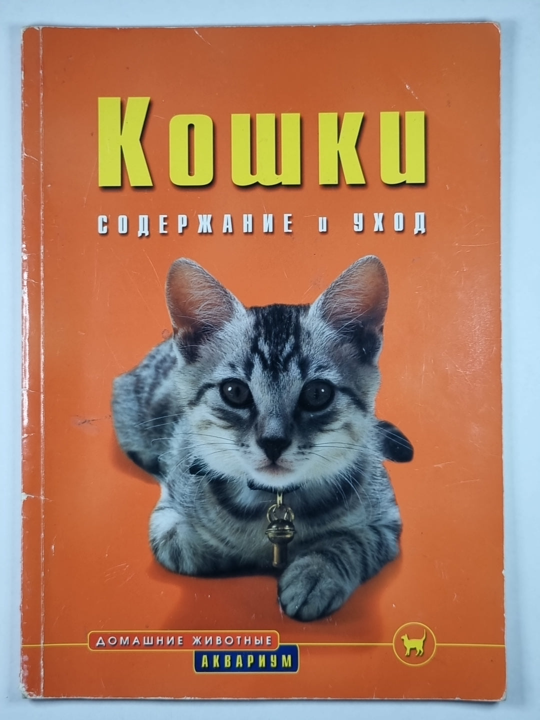 Кошки: Содержание и уход