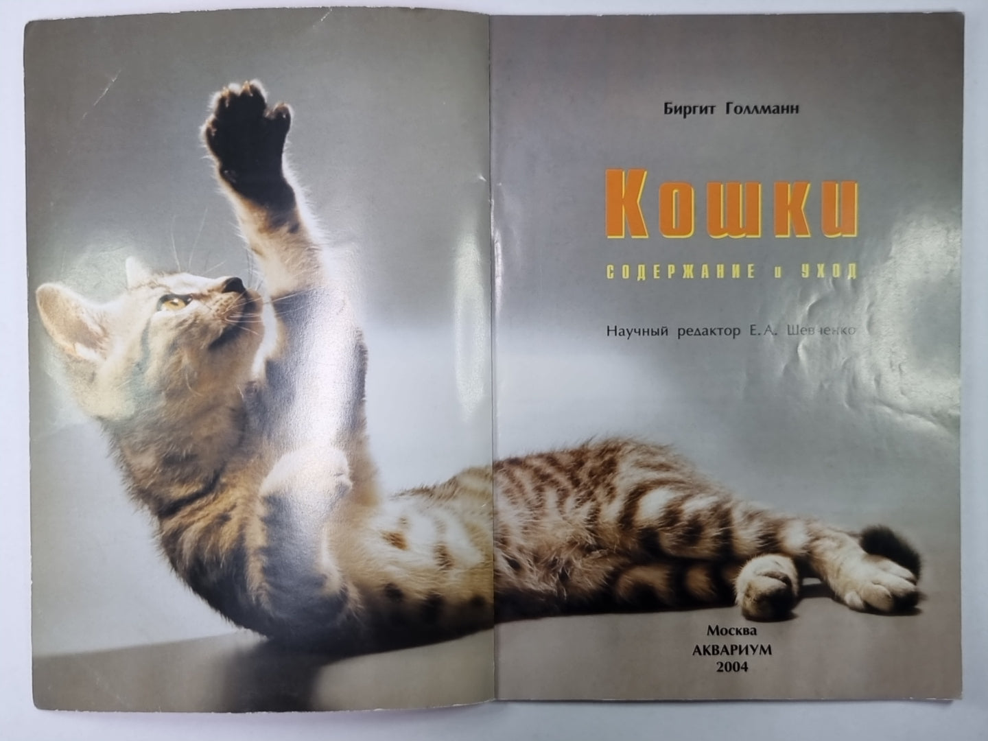 Кошки: Содержание и уход