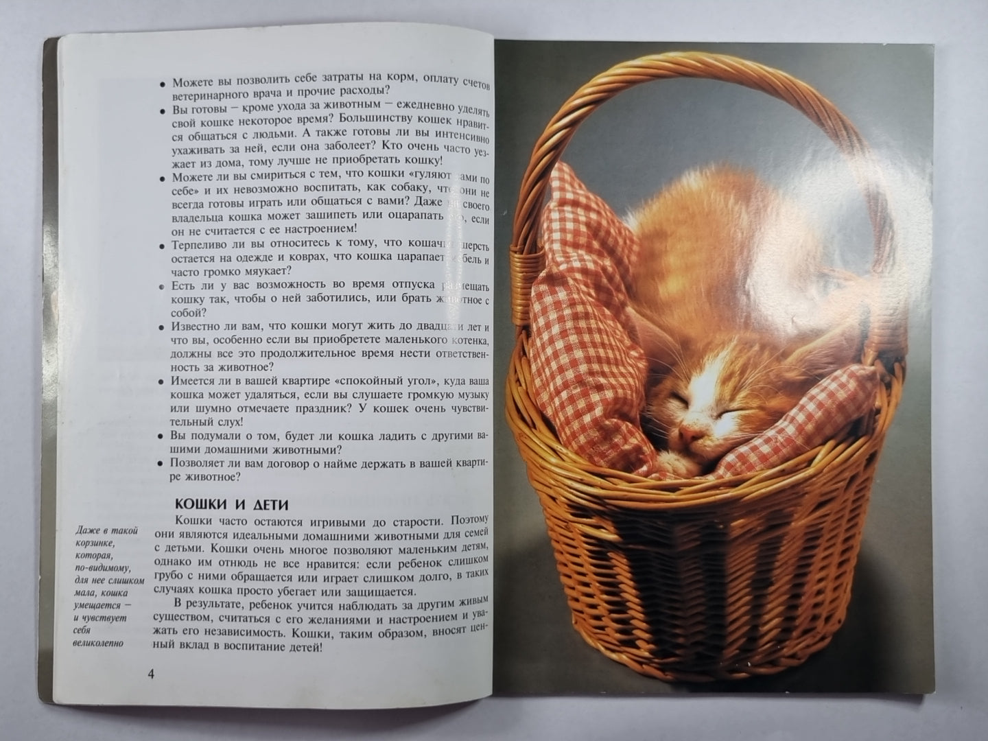 Кошки: Содержание и уход