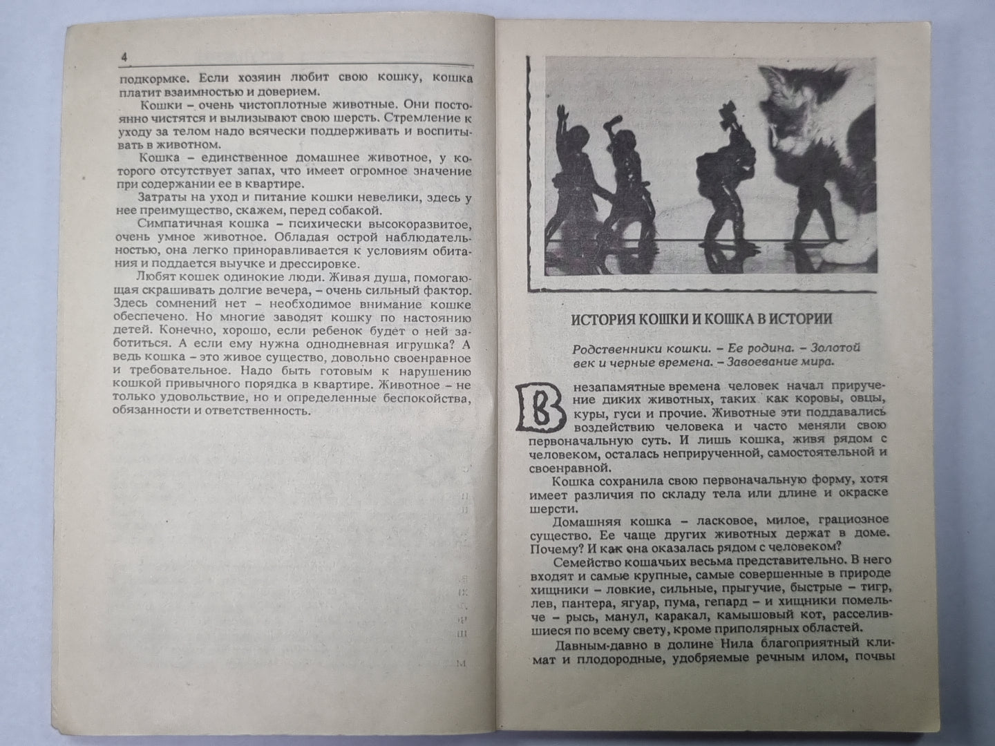 Кошки: Справочное пособие для любителей домашних кошек