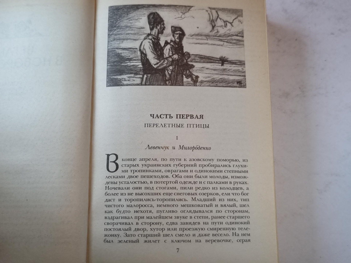 Беглые в Новороссии. Воля. Княжна Тараканова