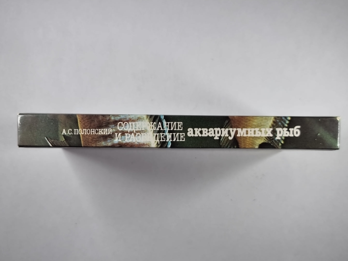 Содержание и разведение аквариумных рыб