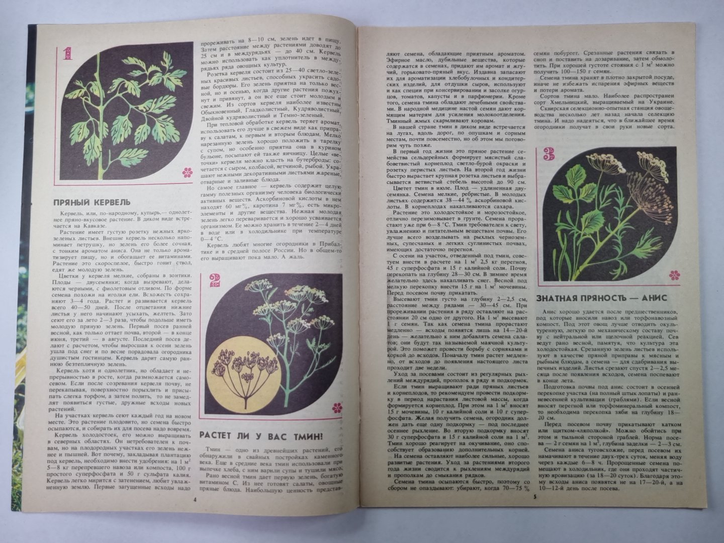 Травы-приправы. Сер. Приусадебное хозяйство