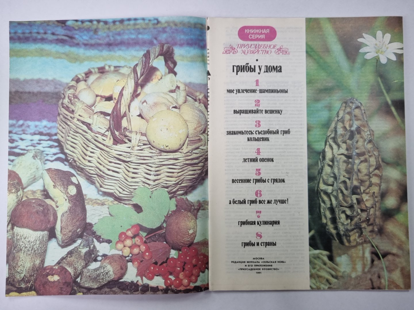 Грибы у дома. Сер. Приусадебное хозяйство