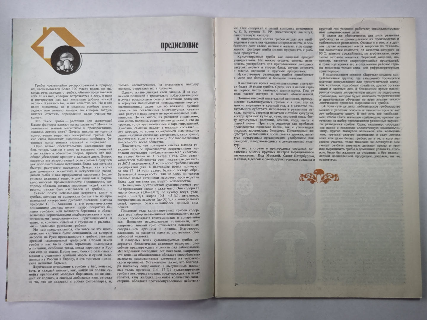 Грибы у дома. Сер. Приусадебное хозяйство