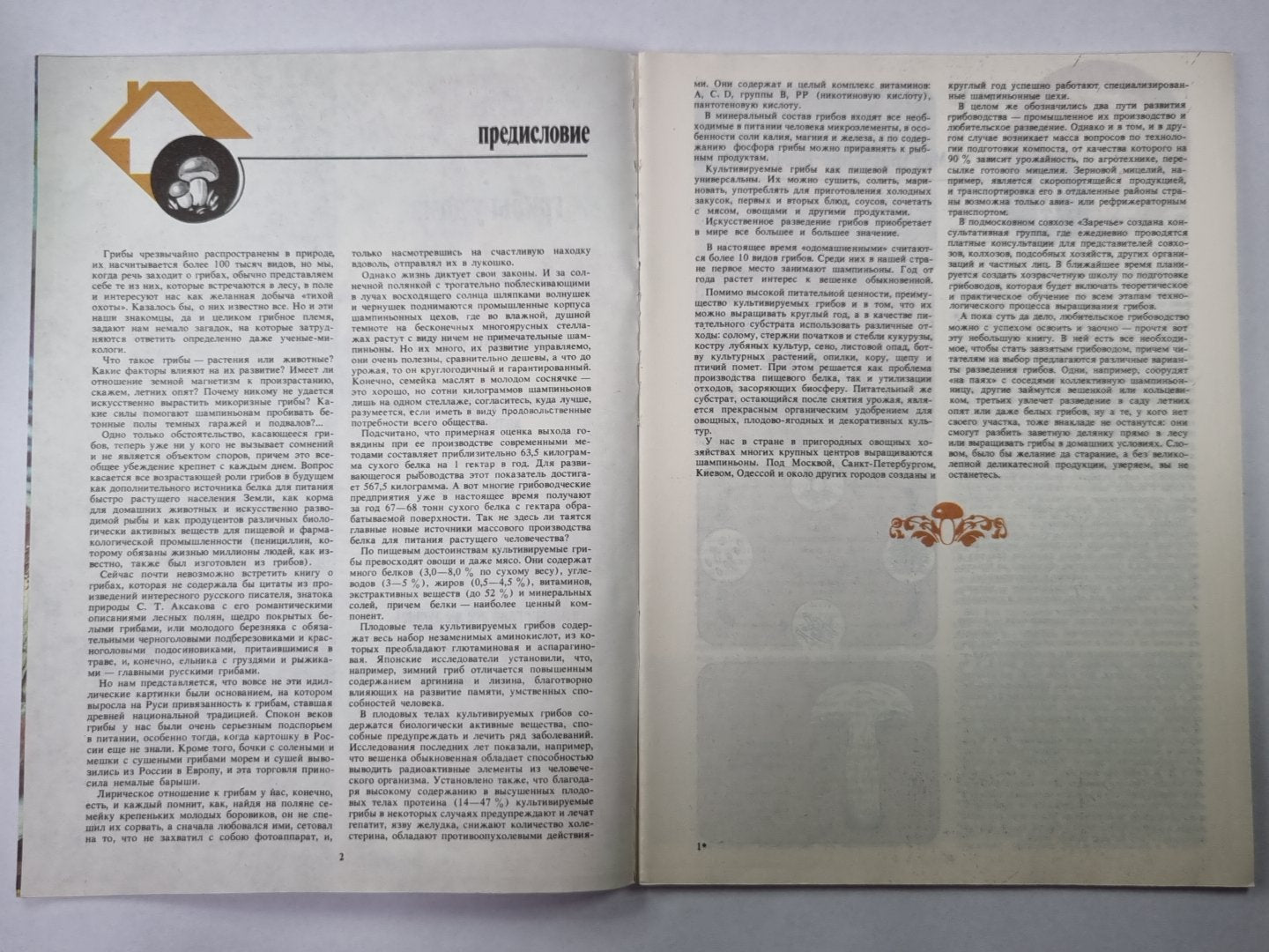 Грибы у дома. Сер. Приусадебное хозяйство