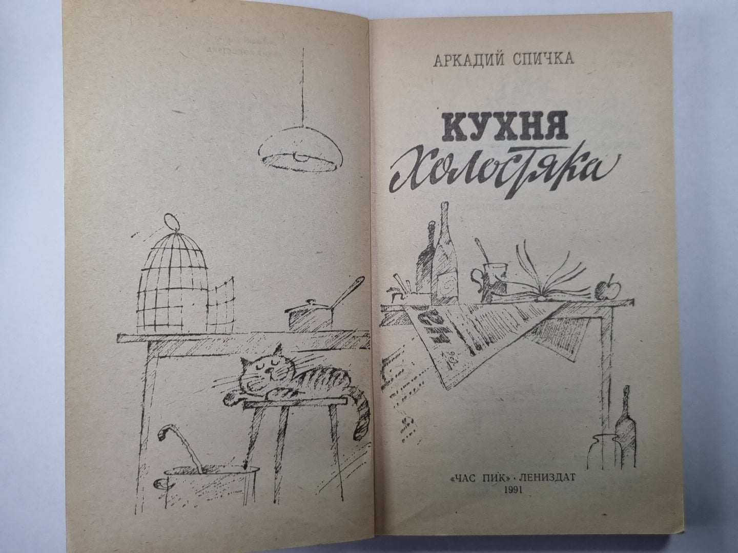 Кухня холостяка