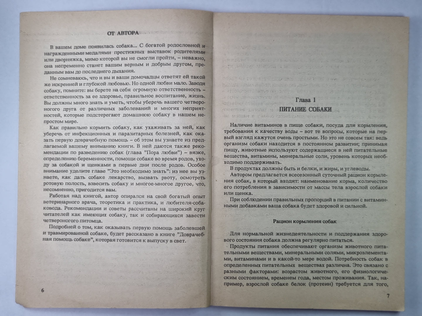 Для любимой собаки