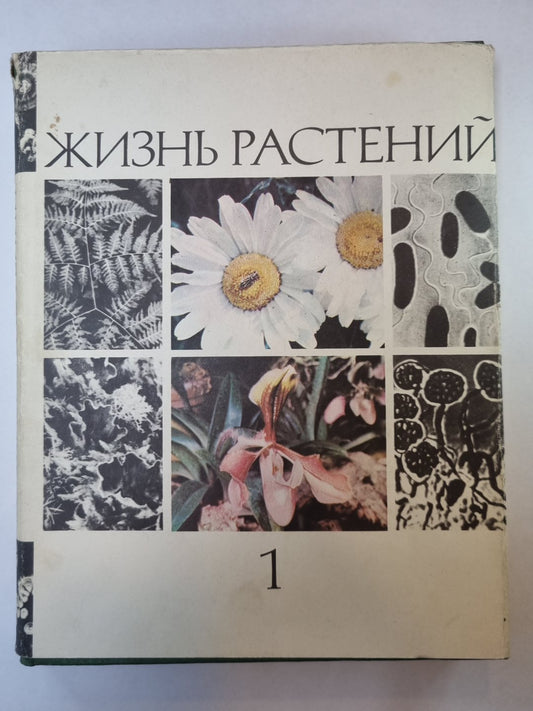 Жизнь растений в шести томах. Том 1. Введение бактерий и актиномицетов.
