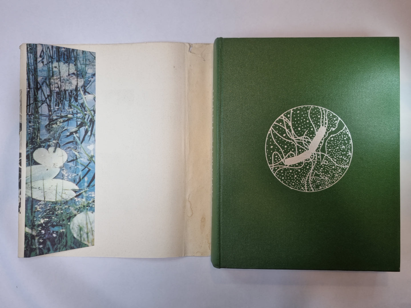 Жизнь растений в шести томах. Том 1. Введение бактерий и актиномицетов.