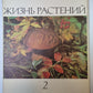 Жизнь растений в шести томах. Том 2. Грибы