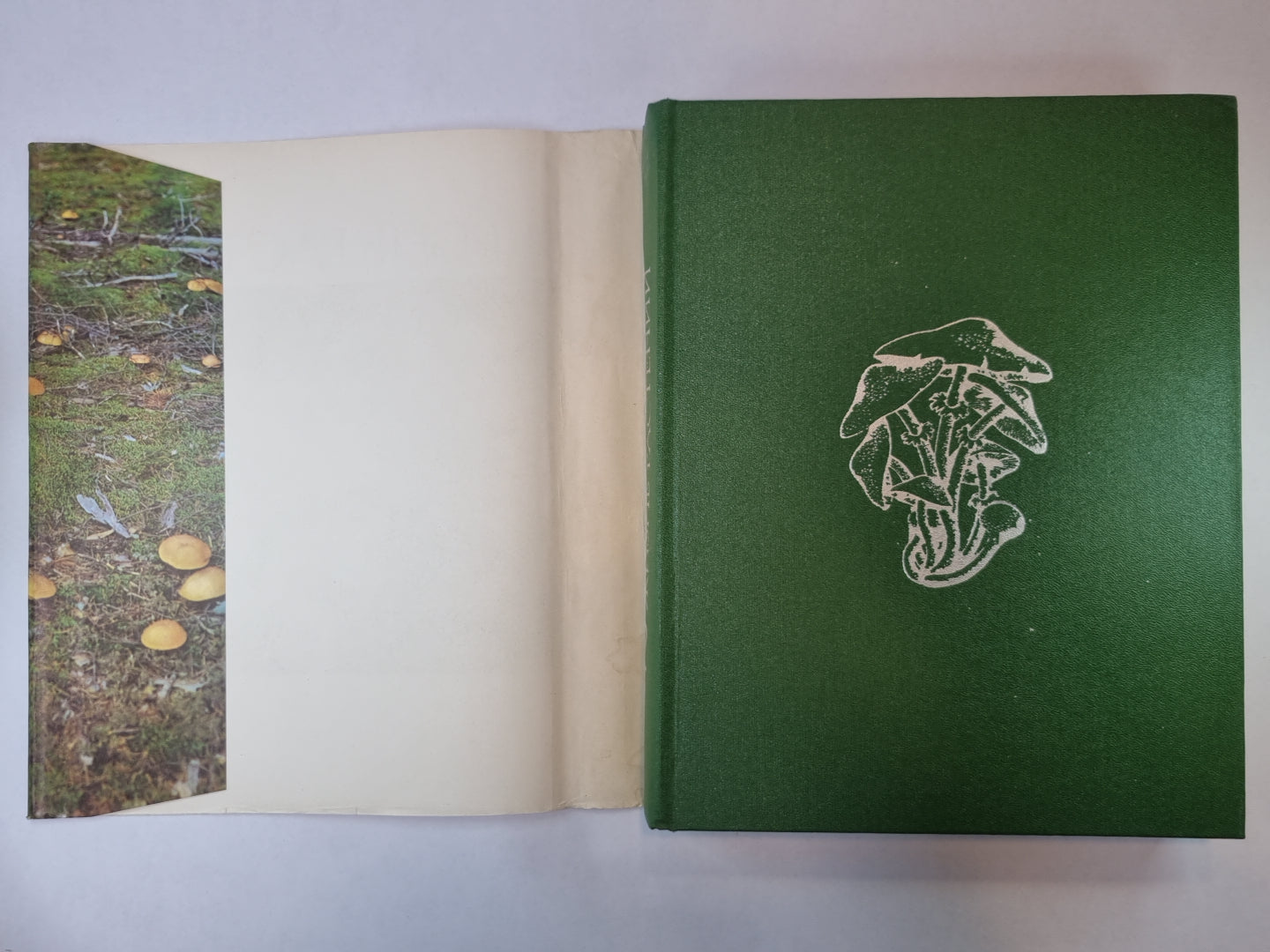 Жизнь растений в шести томах. Том 2. Грибы