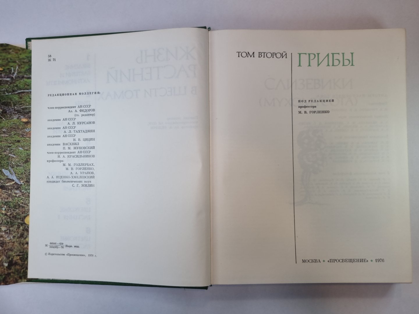 Жизнь растений в шести томах. Том 2. Грибы