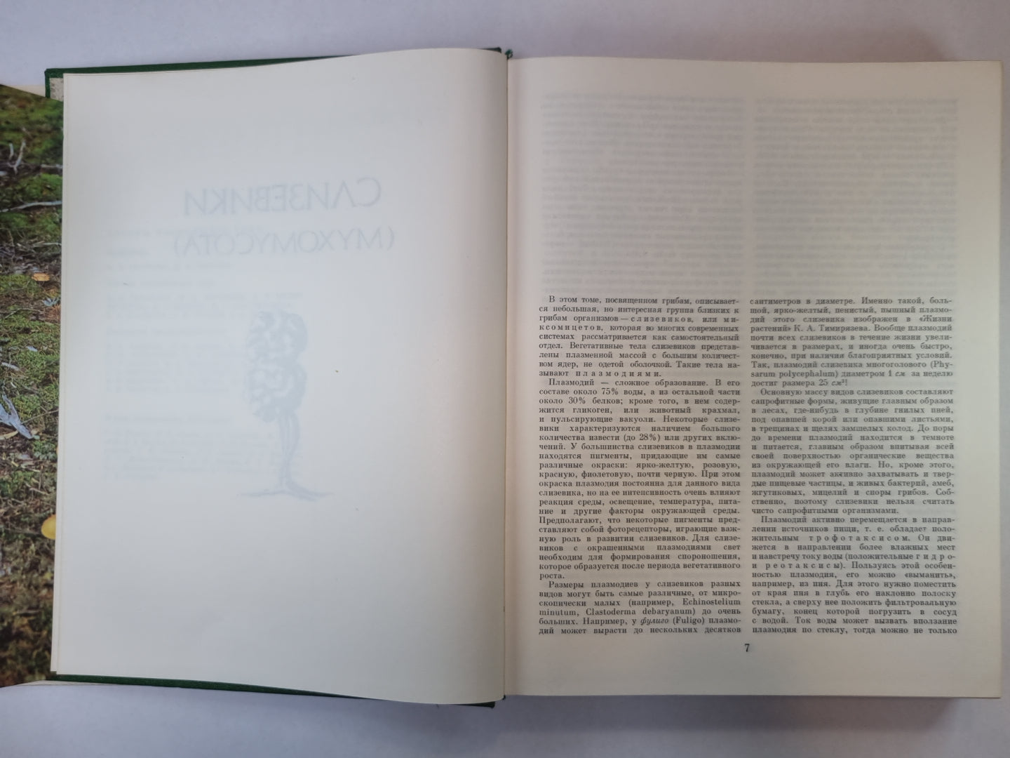 Жизнь растений в шести томах. Том 2. Грибы