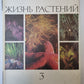 Жизнь растений в шести томах. Том 3. Водоросли. Лишайники