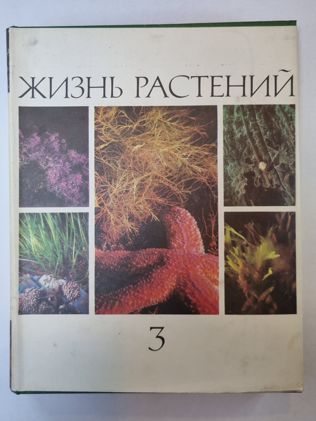 Жизнь растений в шести томах. Том 3. Водоросли. Лишайники