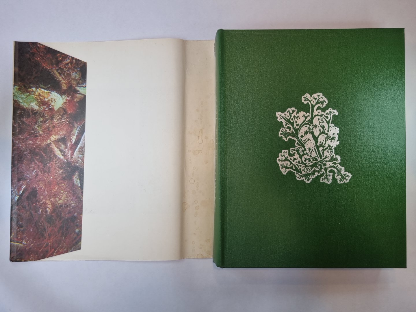 Жизнь растений в шести томах. Том 3. Водоросли. Лишайники