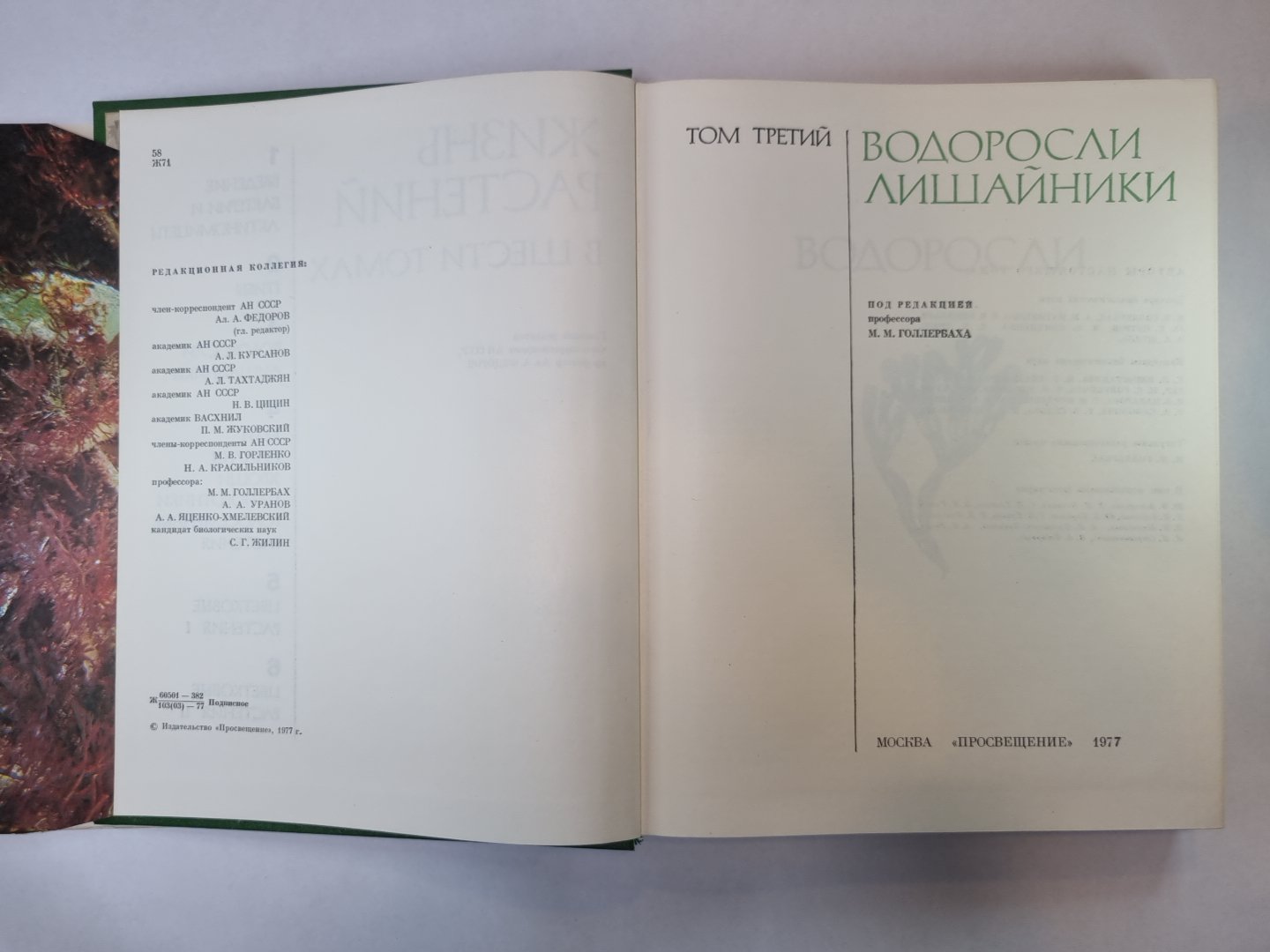 Жизнь растений в шести томах. Том 3. Водоросли. Лишайники