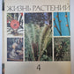 Жизнь растений в шести томах. Том 4. Мхи. Плавуны. Хвощи. Папоротники. Голосеменные растения