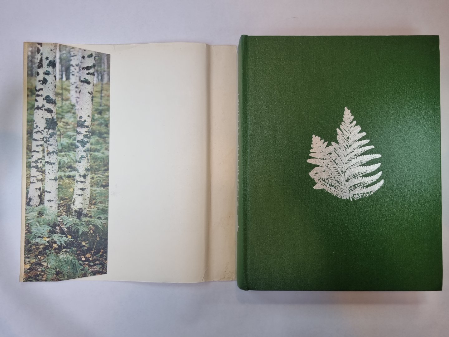 Жизнь растений в шести томах. Том 4. Мхи. Плавуны. Хвощи. Папоротники. Голосеменные растения