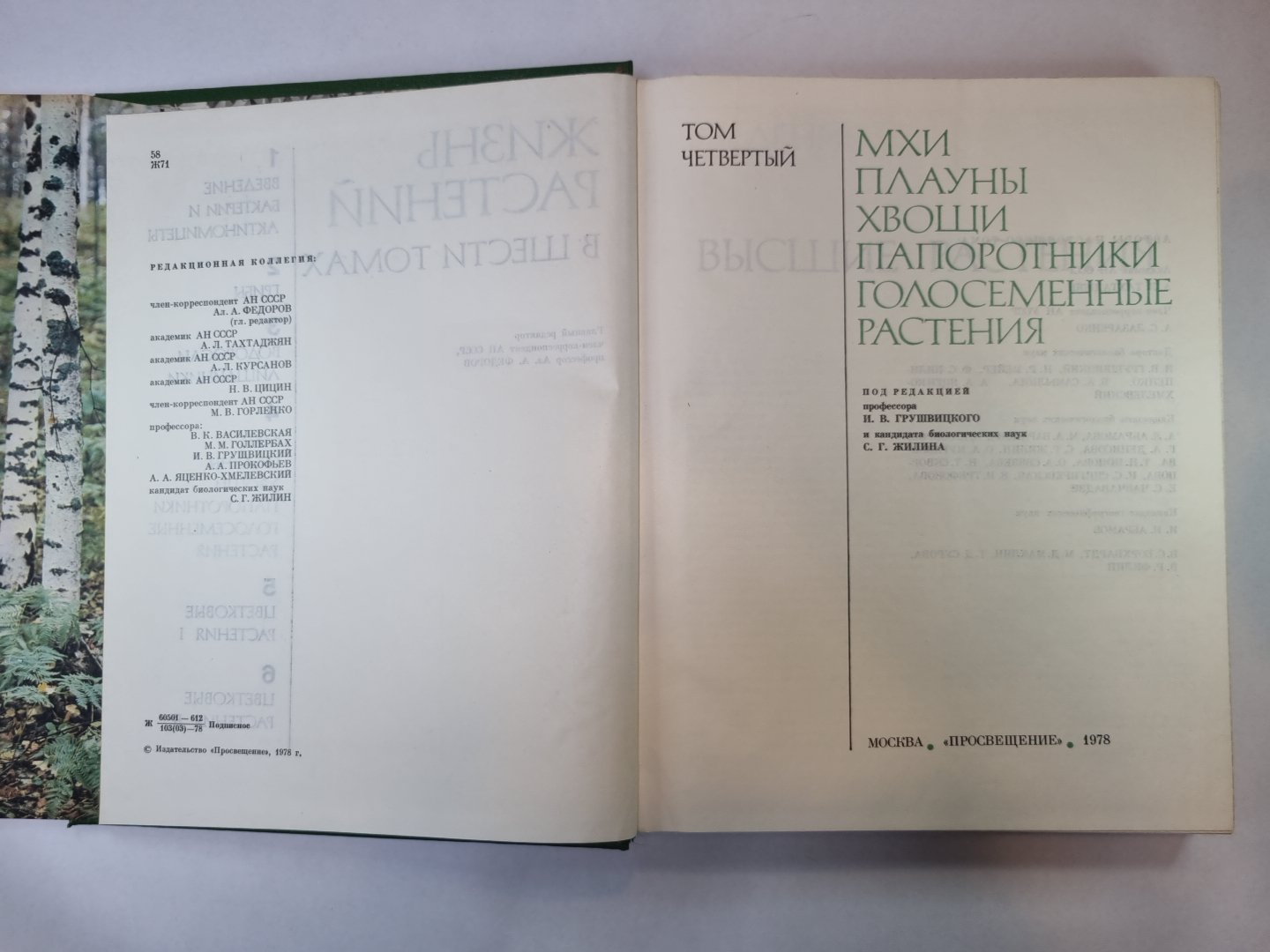 Жизнь растений в шести томах. Том 4. Мхи. Плавуны. Хвощи. Папоротники. Голосеменные растения