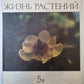 Жизнь растений в шести томах. Том 5 (1). Цветочные растения