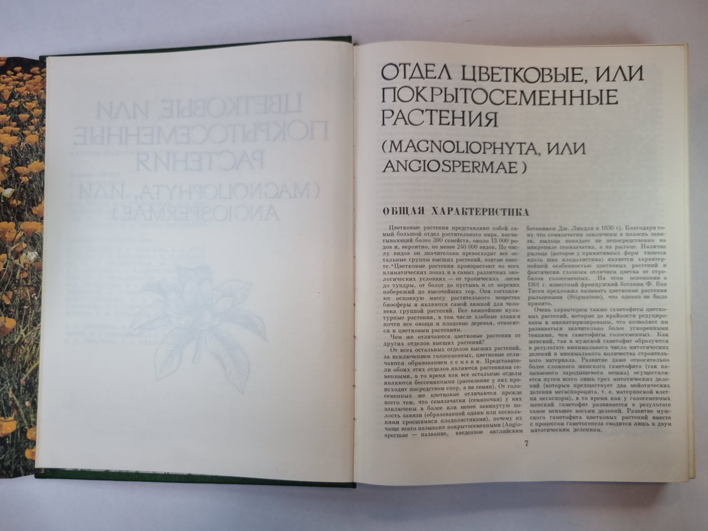 Жизнь растений в шести томах. Том 5 (1). Цветочные растения