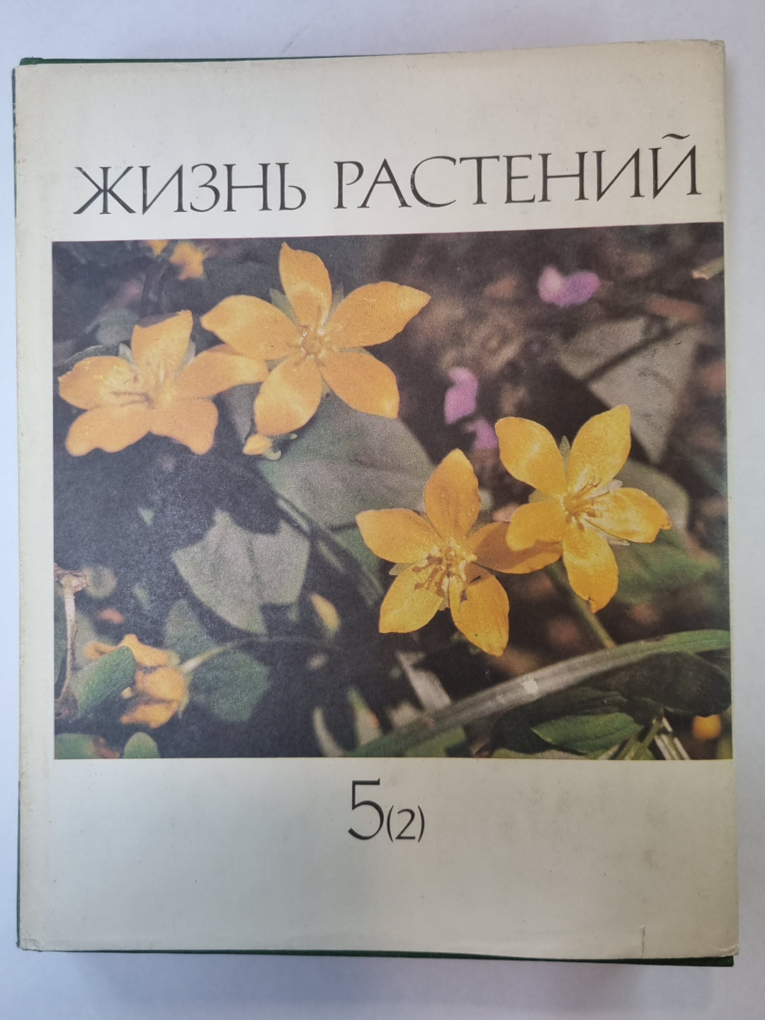 Жизнь растений в шести томах. Tome 5 (2). Цветковые растения