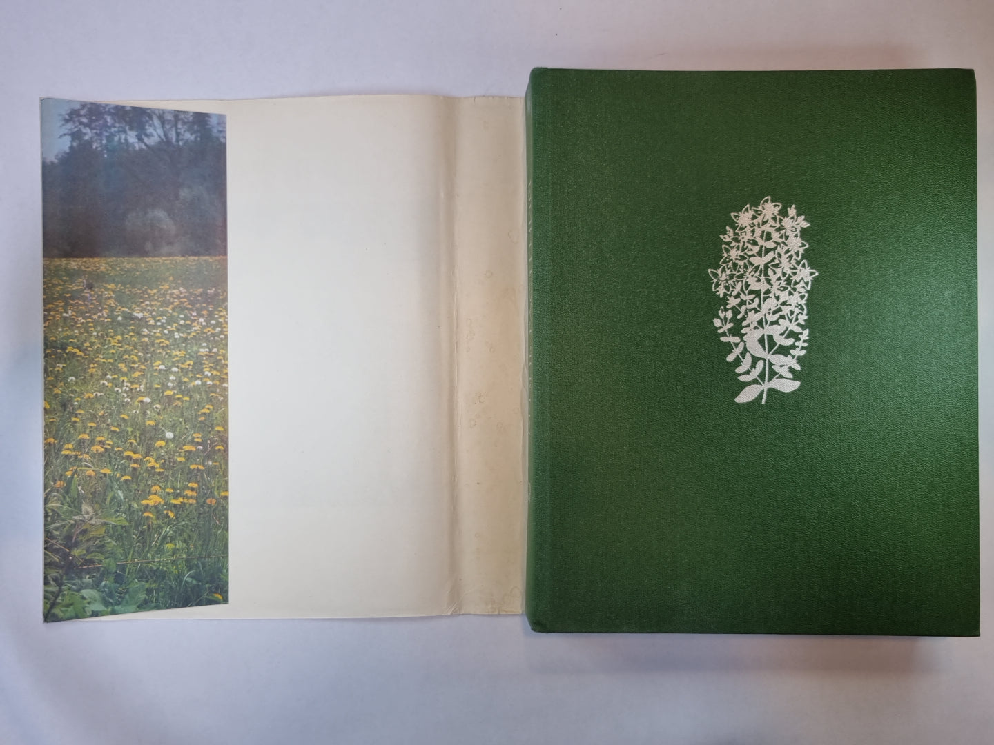 Жизнь растений в шести томах. Tome 5 (2). Цветковые растения