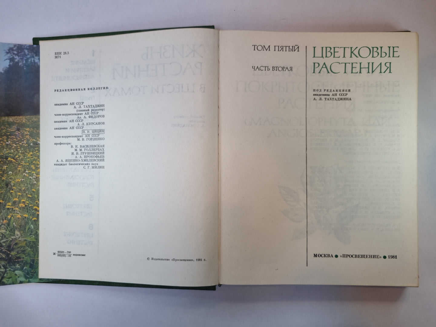 Жизнь растений в шести томах. Tome 5 (2). Цветковые растения