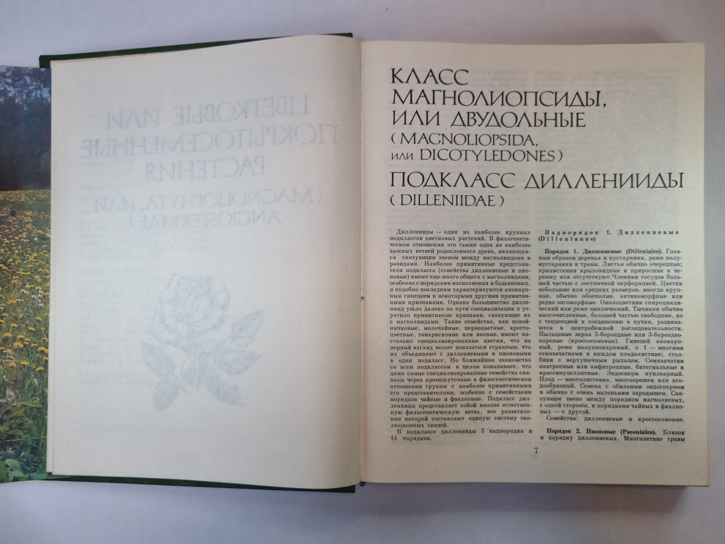 Жизнь растений в шести томах. Tome 5 (2). Цветковые растения