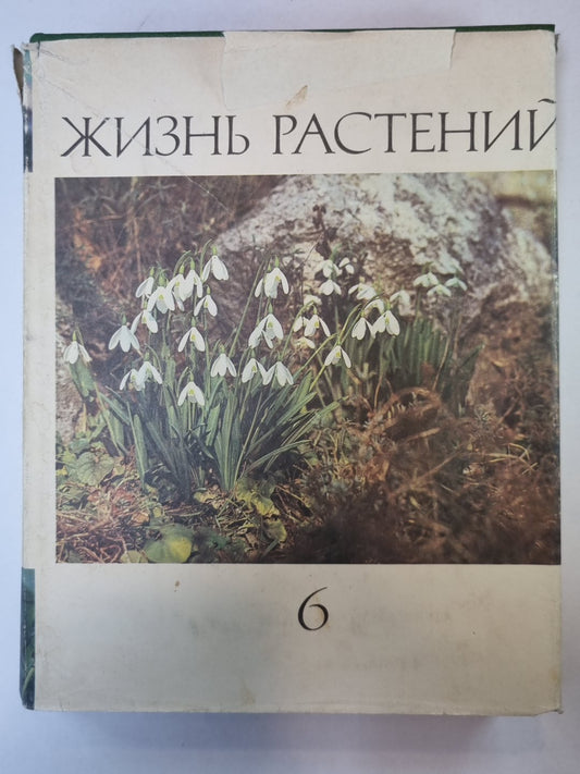 Жизнь растений в шести томах. Tome 6. Restauration complète