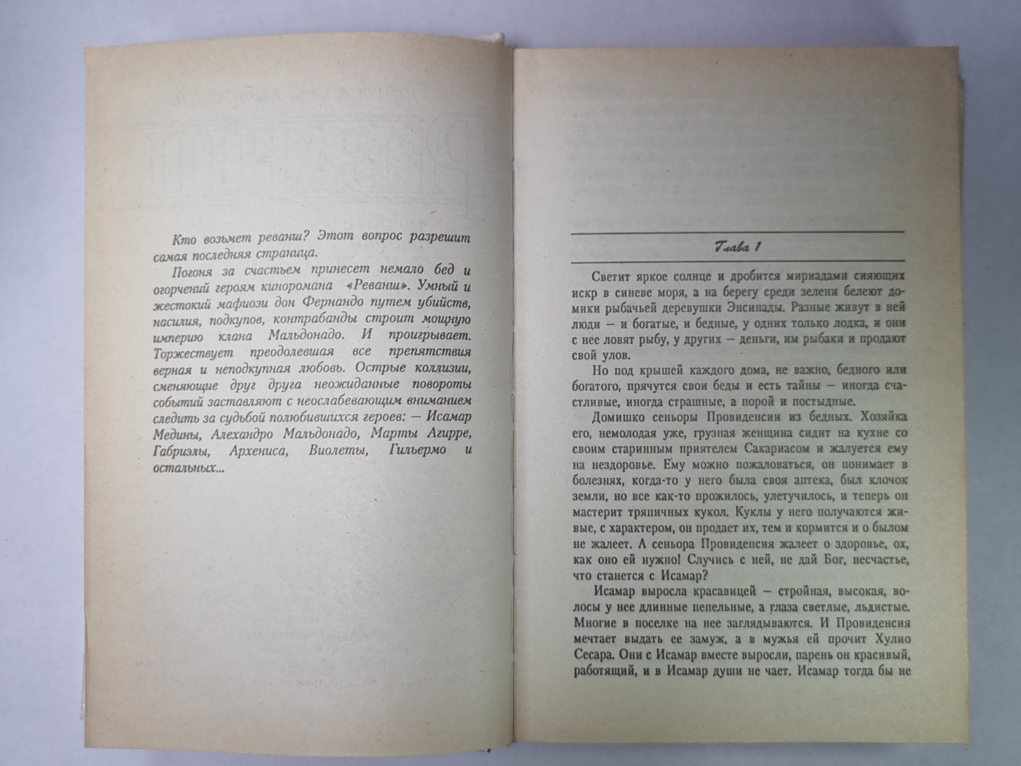 Реванш. Зарубежный кинороман