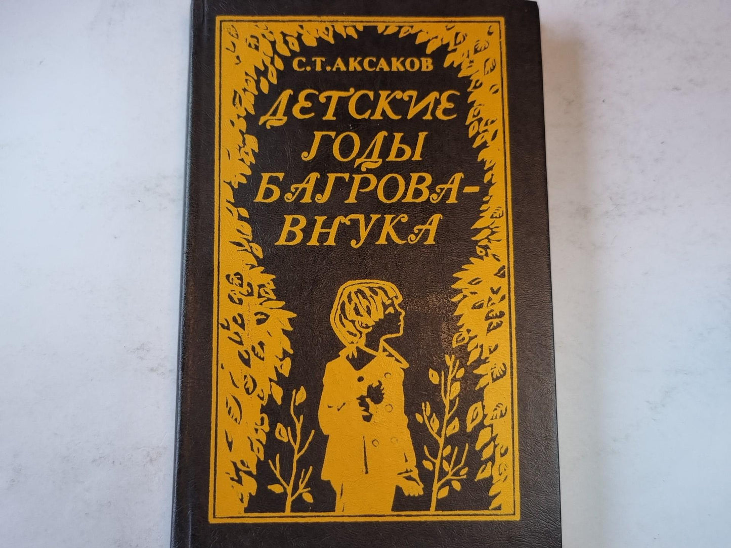 Детские годы Багрова-внука