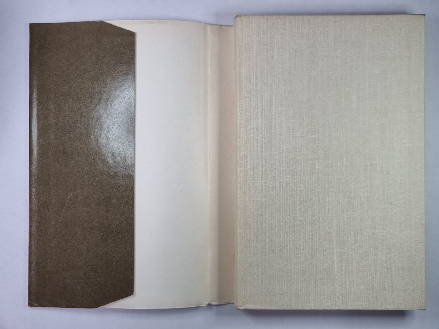 Тоти Даль Монте. Голос над миром