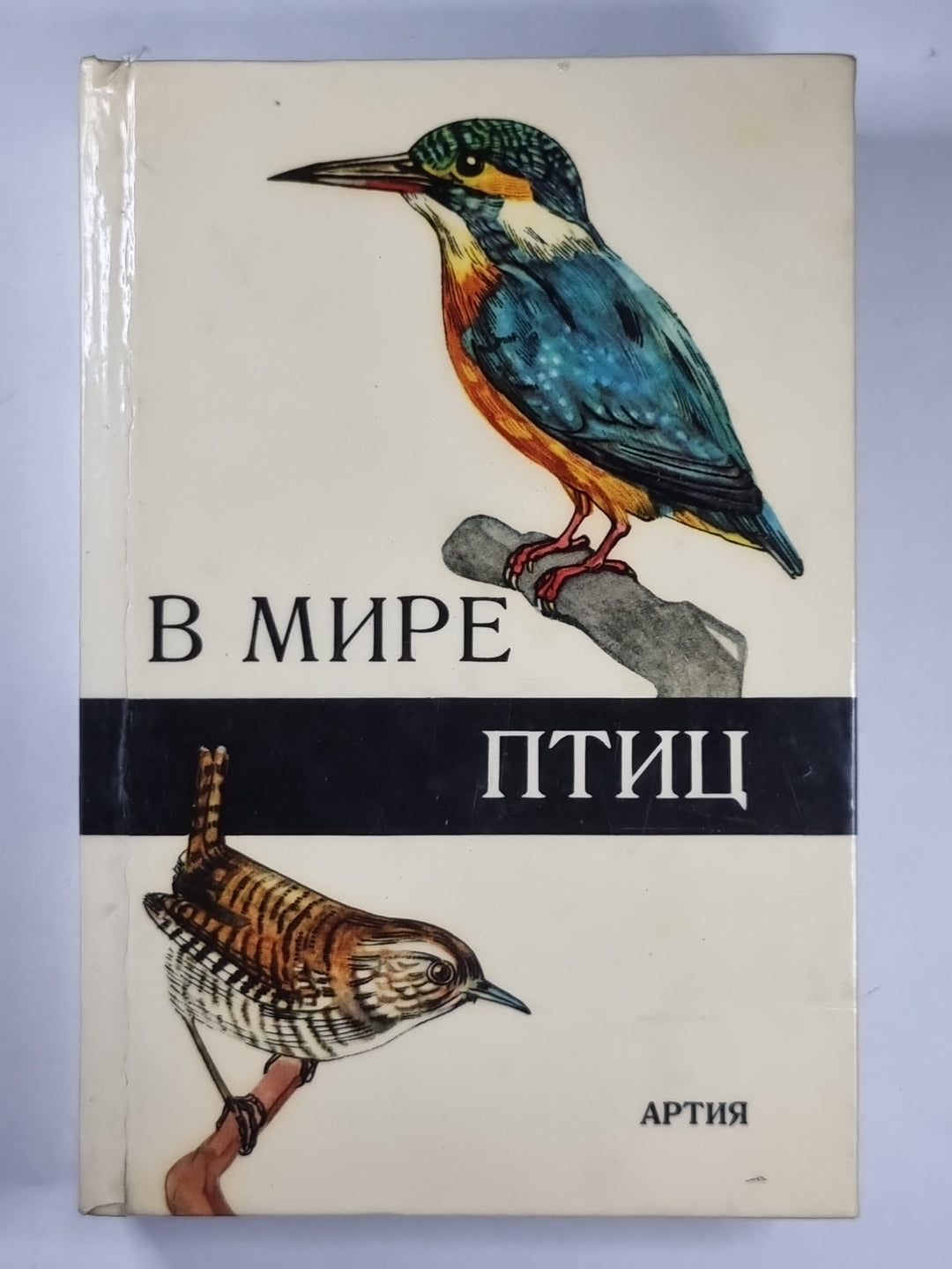 В мире птицы. Карманный атлас птиц