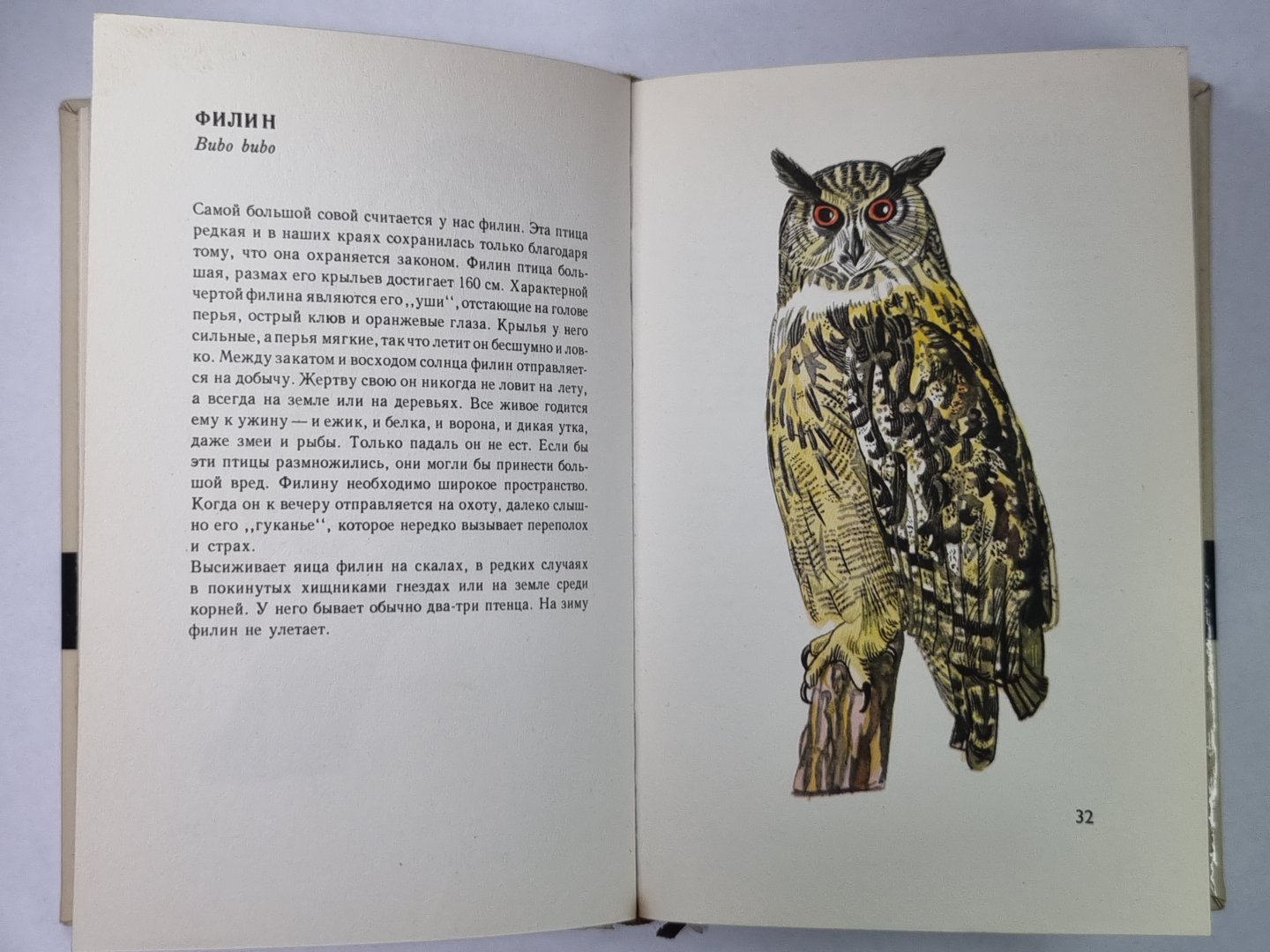 В мире птицы. Карманный атлас птиц