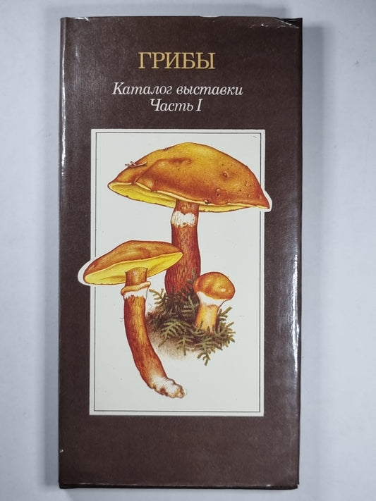 Грибы. Catalogue de produits. Article 1