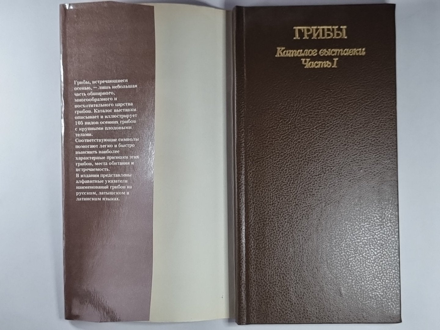 Грибы. Catalogue de produits. Article 1