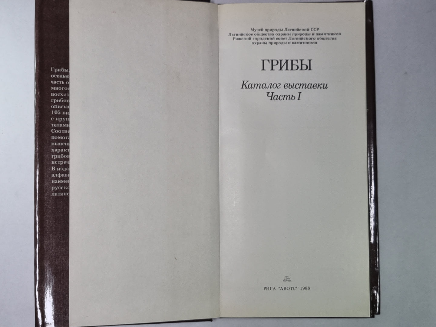 Грибы. Catalogue de produits. Article 1