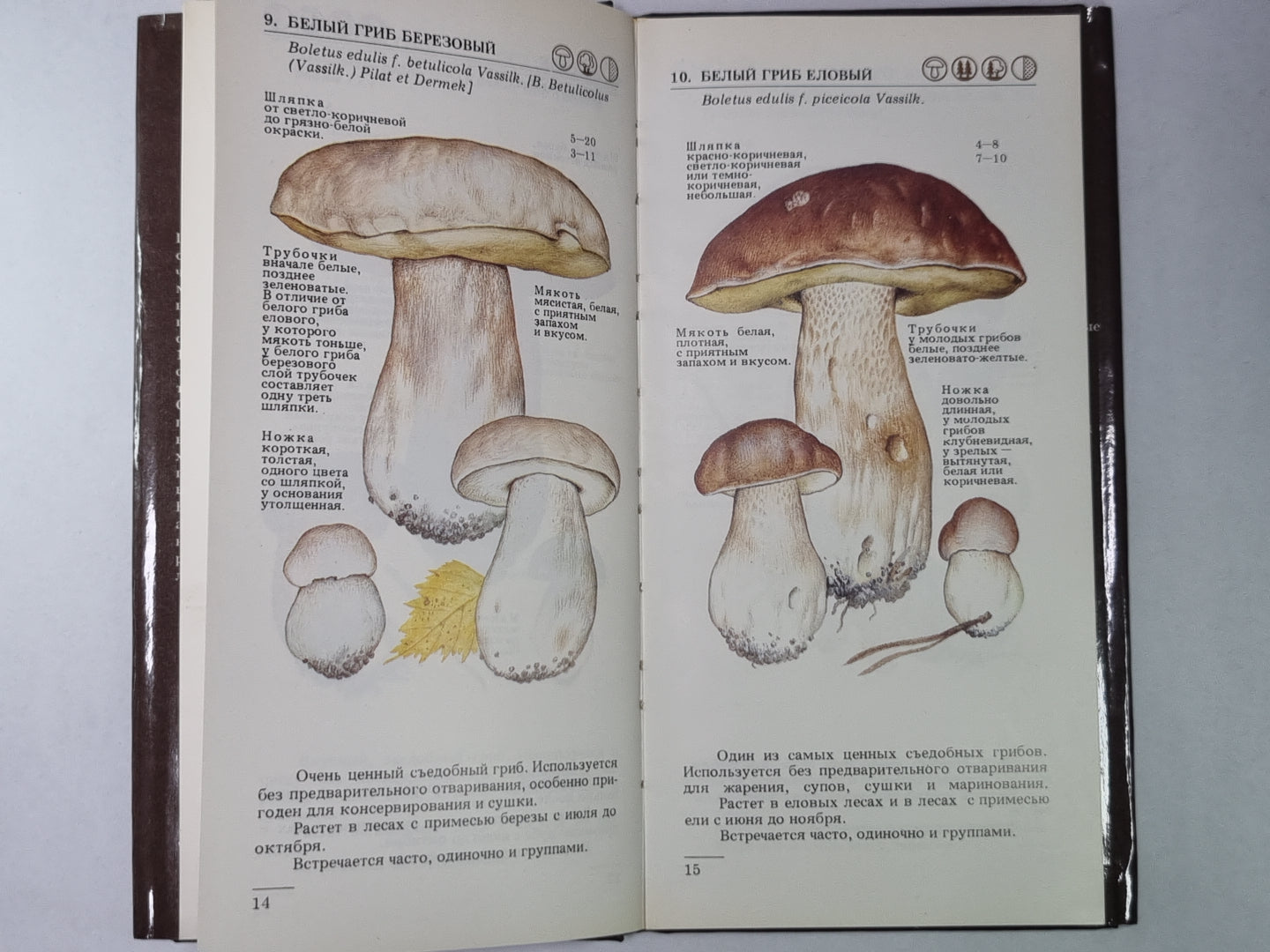 Грибы. Catalogue de produits. Article 1