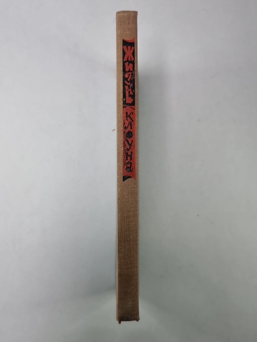 Жизнь клоуна. Воспоминания