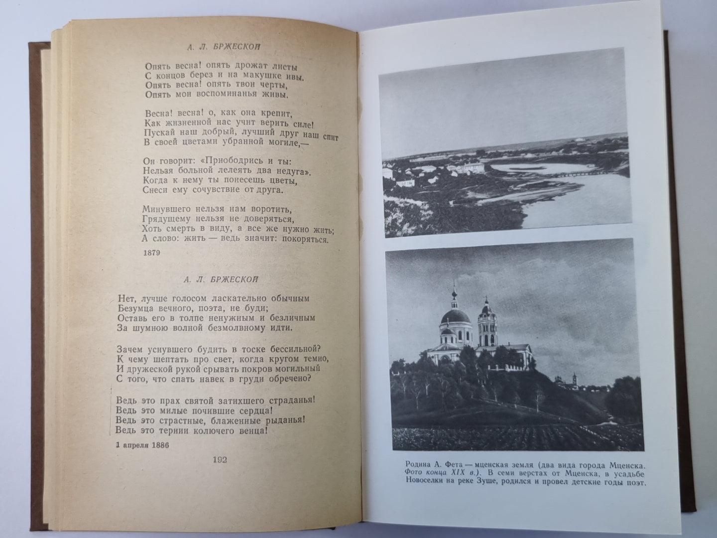 Стихотворения. Поэмы. Avant. А.Фет