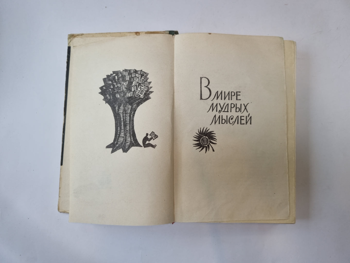 В мире мудрых мыслей