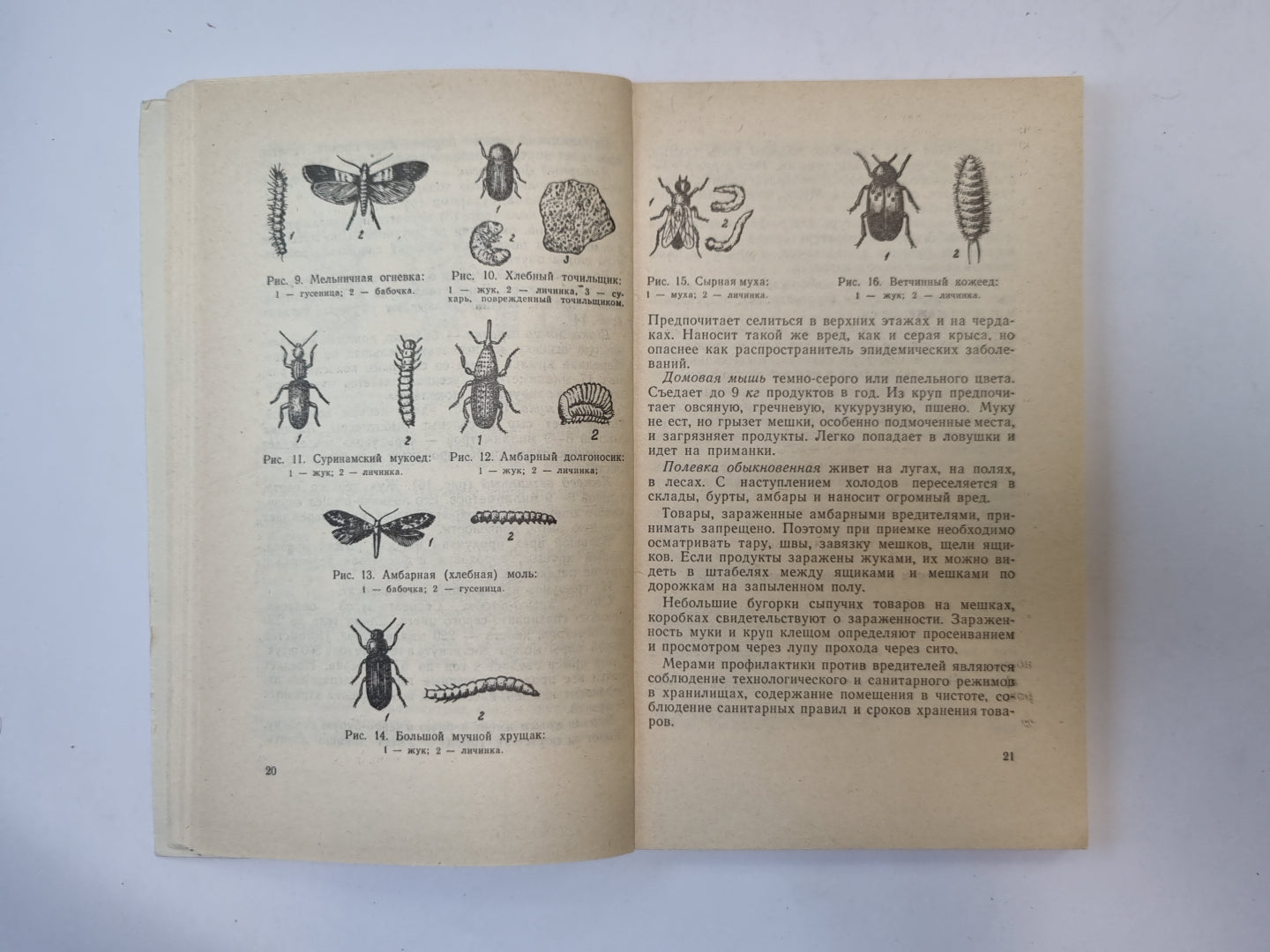 Хранение продовольственных товаров в условиях Латвии