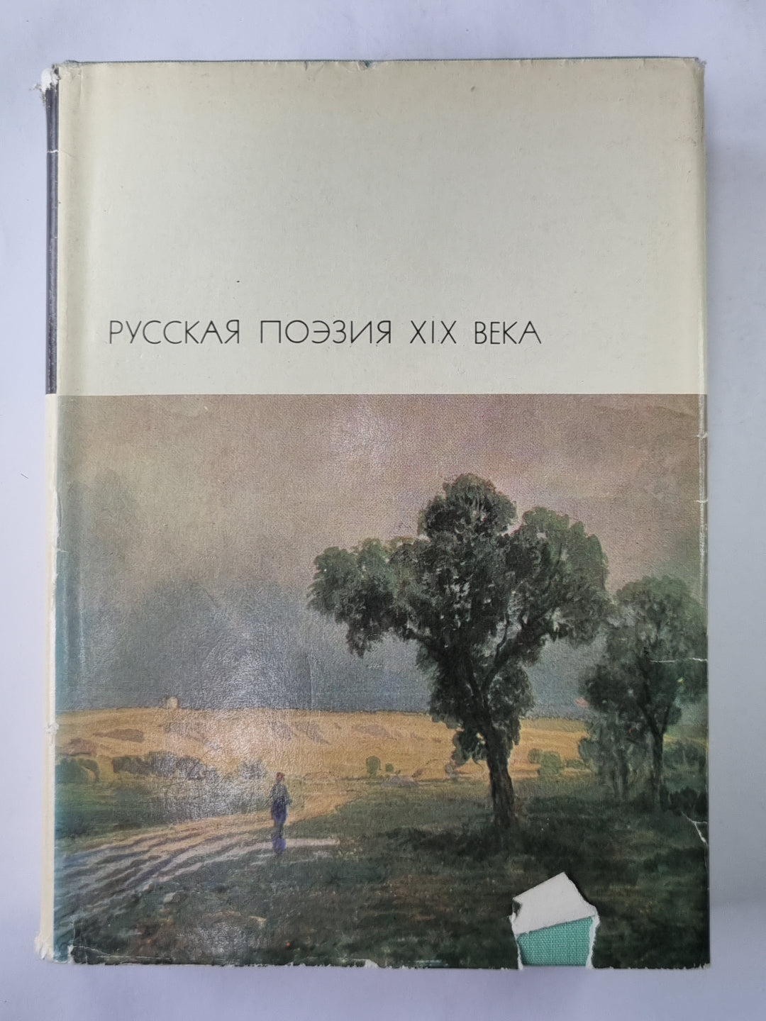 Русская поэзия XIX века. Том 2