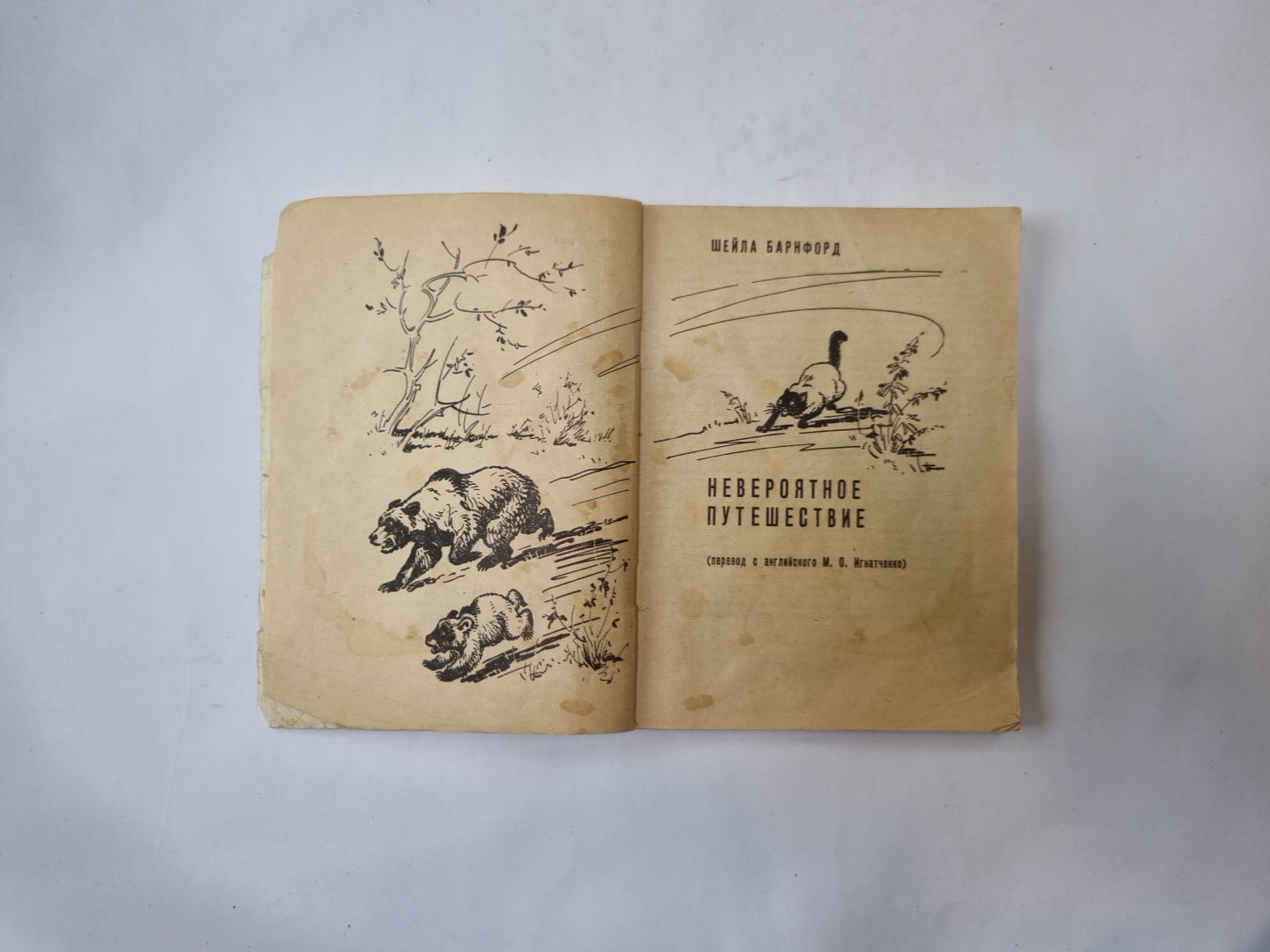 Невероятное путешествие